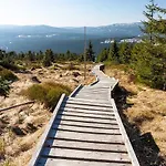 U Singlu Apartmán
