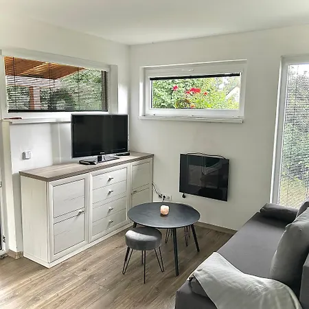 U Singlu Apartment Nove Mesto pod Smrkem
